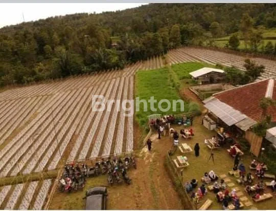 image LAHAN LUAS COCOK UNTUK INVESTASI WANAYASA PURWAKARTA (1)