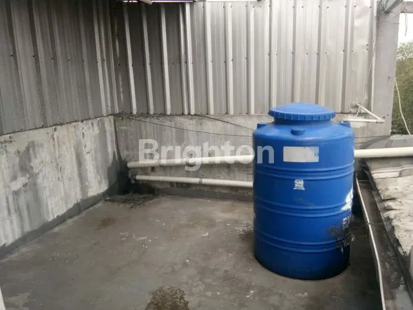 image RUKO GROGOL (2)