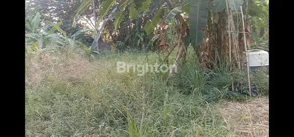 image TANAH PREMIUM 1050M² DALAM CLUSTER ELITE KOTA BOGOR (2)