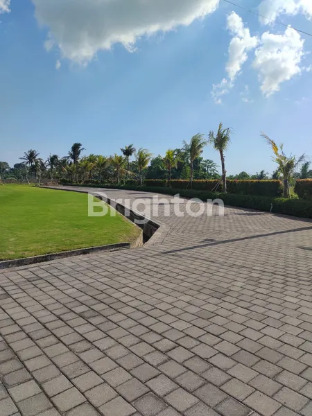 image TANAH LAHAN  DI KEDUNGU (1)