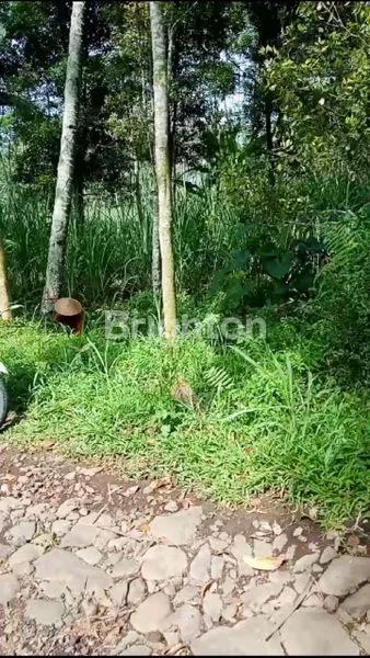 TANAH LUAS AKSES TRUK BABADAN NGAJUM