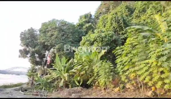 image LAHAN TANAH 4 HA DAERAH SAMARINDA SEBRANG TEPI SUNGAI MAHAKAM (5)