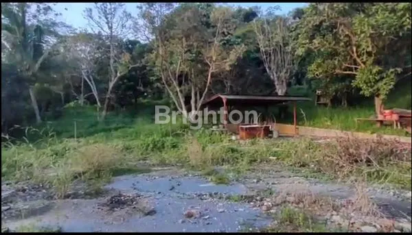 image LAHAN TANAH 4 HA DAERAH SAMARINDA SEBRANG TEPI SUNGAI MAHAKAM (4)