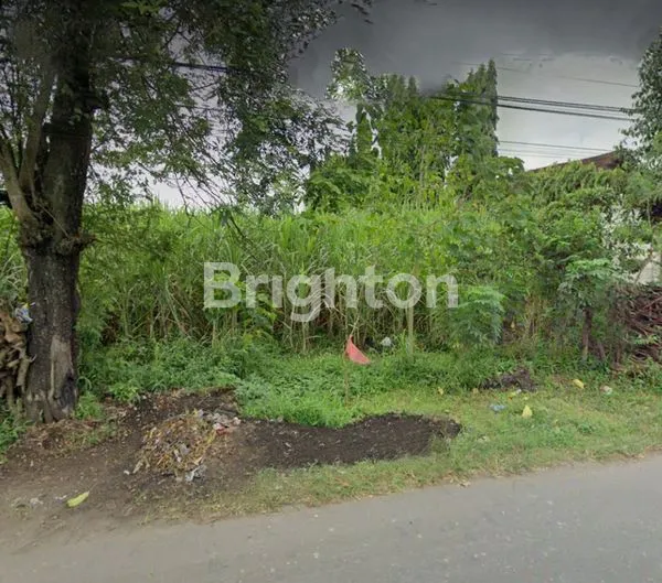 image TANAH LUASAN 1HA LEBAR 100M DI NGADILUWIH KAB KEDIRI (3)