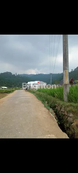 image TANAH MURAH CIWIDEY VIEW BAGUS COCOK BUAT VILLA (4)