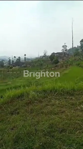 image TANAH MURAH CIWIDEY VIEW BAGUS COCOK BUAT VILLA (2)