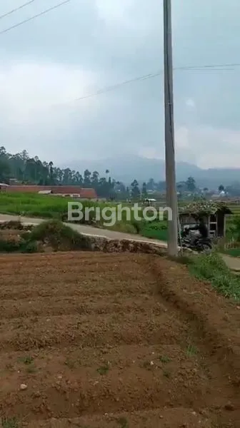 image TANAH MURAH CIWIDEY VIEW BAGUS COCOK BUAT VILLA (3)