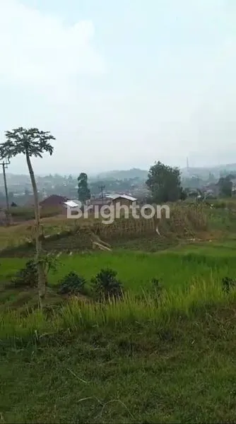 image TANAH MURAH CIWIDEY VIEW BAGUS COCOK BUAT VILLA (6)