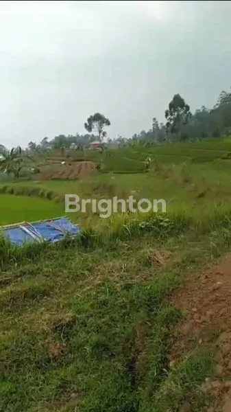 image TANAH MURAH CIWIDEY VIEW BAGUS COCOK BUAT VILLA (7)