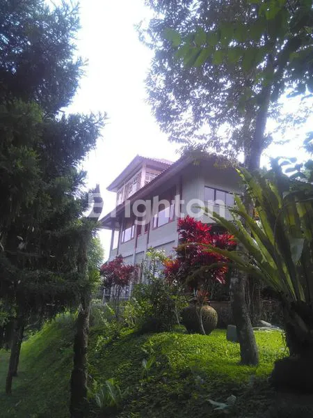 image VILLA AREA CIAWI (1)