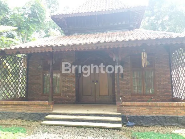 image VILLA AREA CIAWI (8)