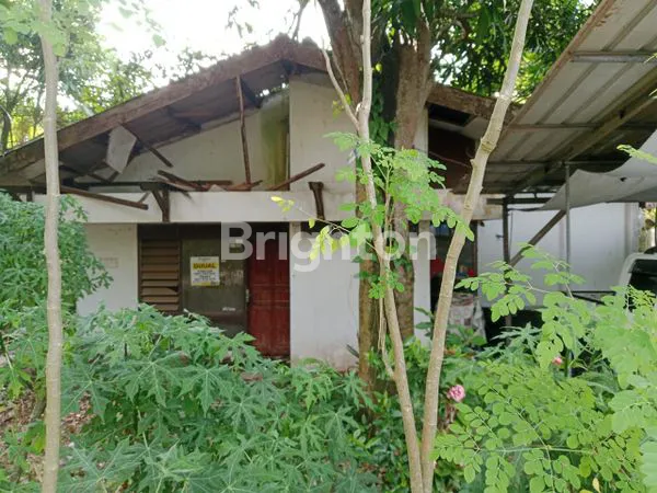 image RUMAH JALAN KARTINI 1 (1)