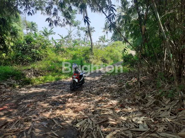 image DIJUAL TANAH LUAS 24 HEKTAR DI SUKASIRNA JONGGOL BOGOR (3)