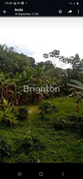 image LAHAN STRATEGIS DI PAJAJARAN BOGOR (3)