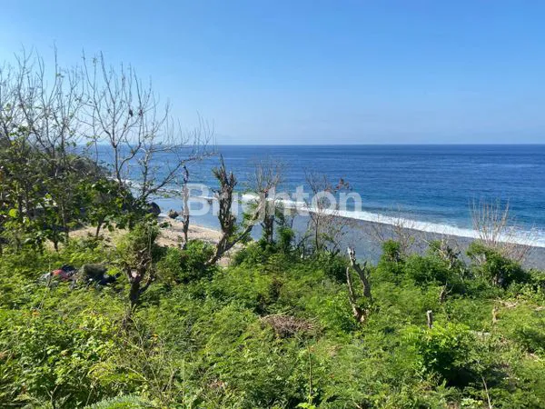 image TANAH BEACH FRONT NUSA PENIDA  (4)