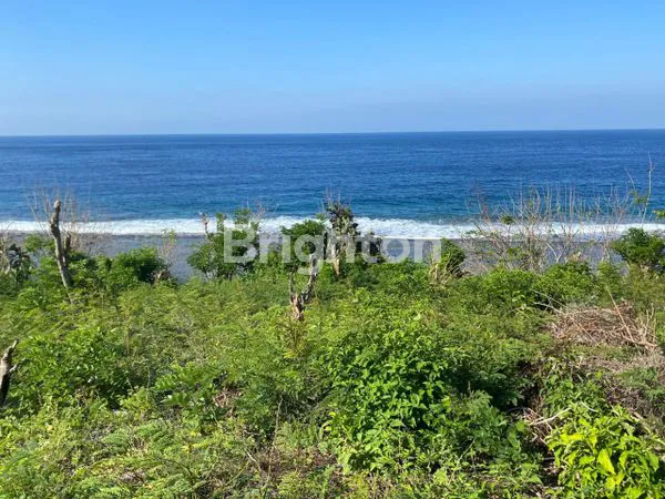 image TANAH BEACH FRONT NUSA PENIDA  (1)