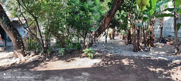 image TANAH LUAS TANGGUL PATOMPO MAKASSAR (6)