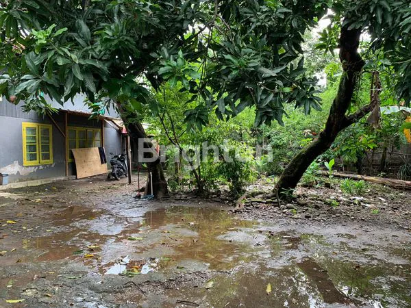 image TANAH LUAS TANGGUL PATOMPO MAKASSAR (5)