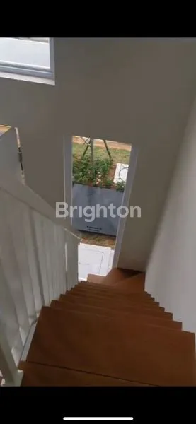 image PARAMOUNT PETALS CLUSTER CANNA CURUG TANGERANG (7)