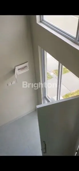 image PARAMOUNT PETALS CLUSTER CANNA CURUG TANGERANG (3)