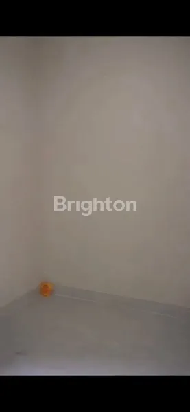 image PARAMOUNT PETALS CLUSTER CANNA CURUG TANGERANG (4)