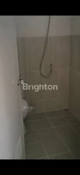 image PARAMOUNT PETALS CLUSTER CANNA CURUG TANGERANG (5)