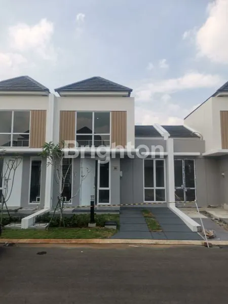 image PARAMOUNT PETALS CLUSTER CANNA CURUG TANGERANG (1)