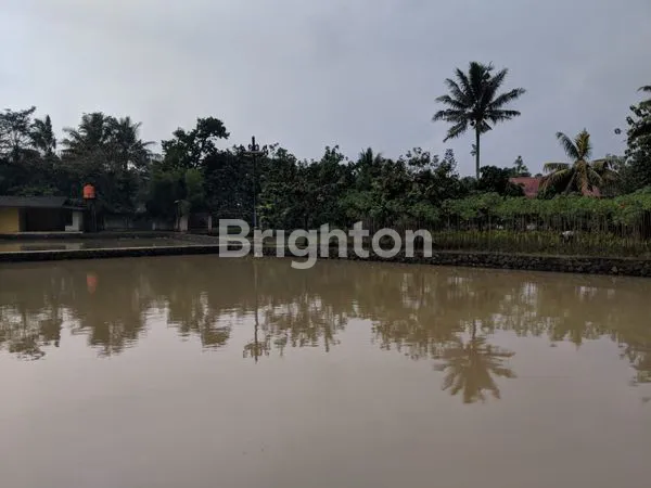 image LAHAN COCOK UNTUK CLUSTER PERUMAHAN DAERAH PARUNG BOGOR  (2)