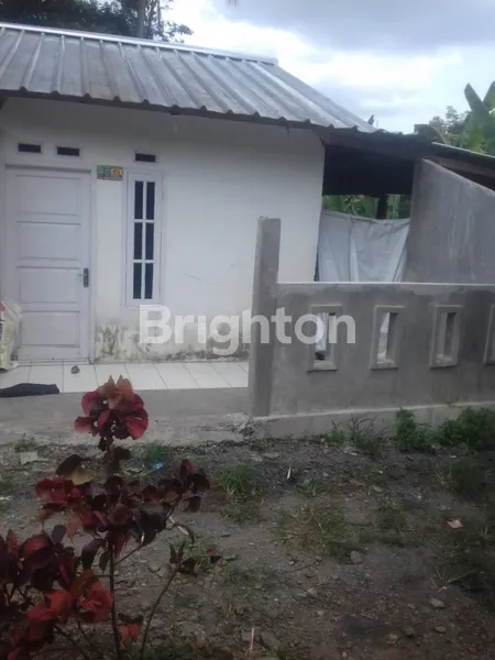 image RUMAH MINIMALIS DI CIAPUS KABUPATEN BOGOR (1)