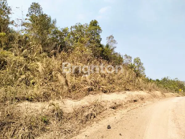 LAHAN TANAH UK 10 HA MURAH KAWASAN SAMBOJA KUTAI KERTANEGARA