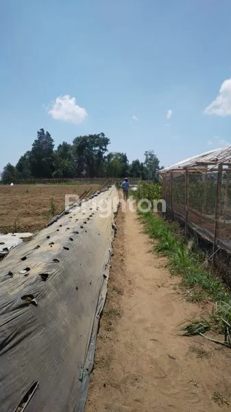 image TANAH KOPENG (6)