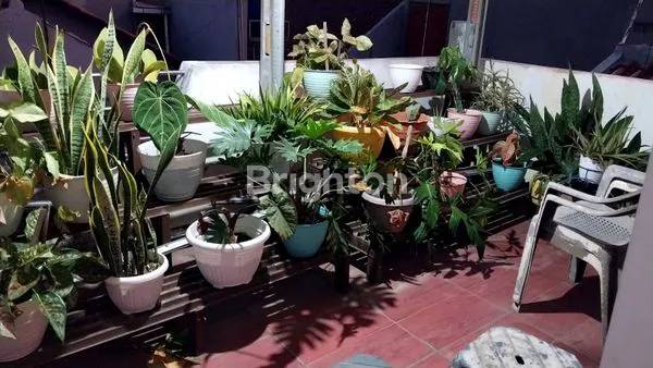 image RUMAH SIAP HUNI TERAWAT (6)