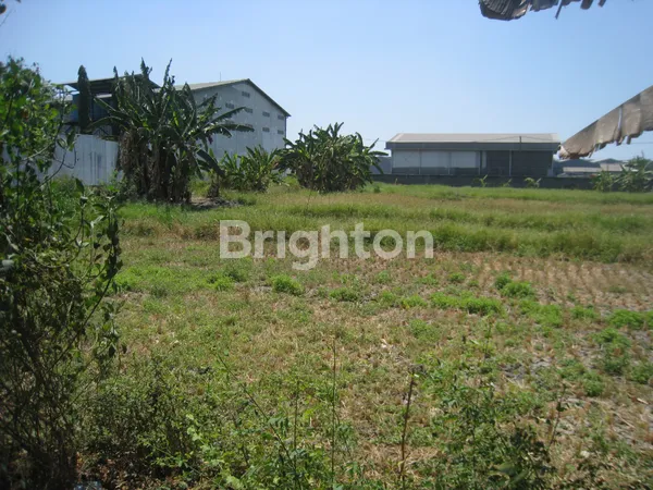 image JUAL CEPAT TANAH KOMERSIAL SHM DI CANGKIR DRIYOREJO, GRESIK (2)