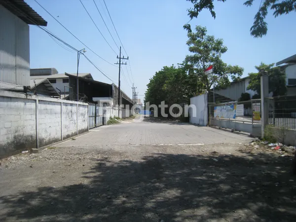 image JUAL CEPAT TANAH KOMERSIAL SHM DI CANGKIR DRIYOREJO, GRESIK (5)