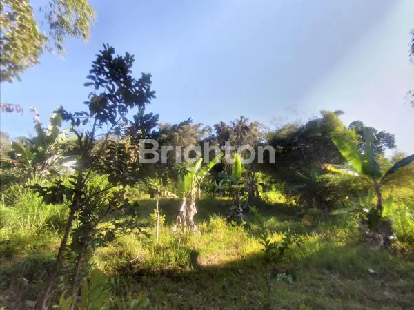 image TANAH LUAS STRATEGIS JALIBAR BATU (3)