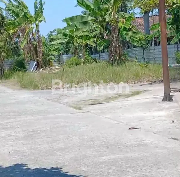 image TANAH HOOK DI AREA PERUMAHAN TULUNGAGUNG (2)