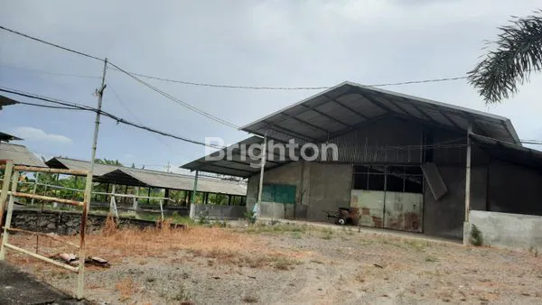 image TANAH KANDANG SAPI, LOKASI DI MOJOKERTO (1)