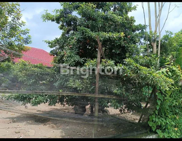 image TURUN HARGA TANAH JL EKA WARNI MEDAN JOHOR (6)