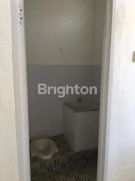 image CLUSTER  SPRING WOOD CITRA MAJA (2)