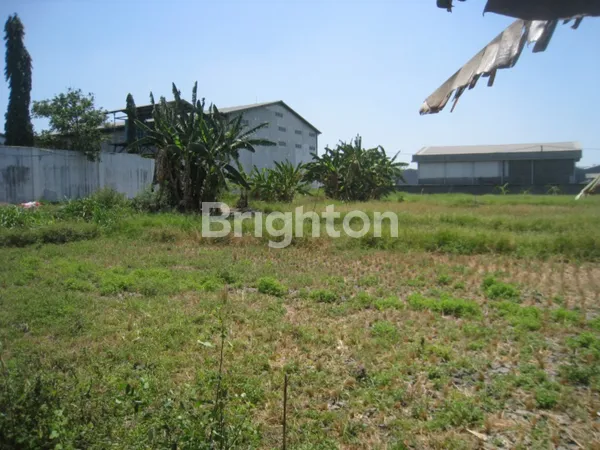 image JUAL CEPAT TANAH KOMERSIAL SHM DI CANGKIR DRIYOREJO, GRESIK (1)