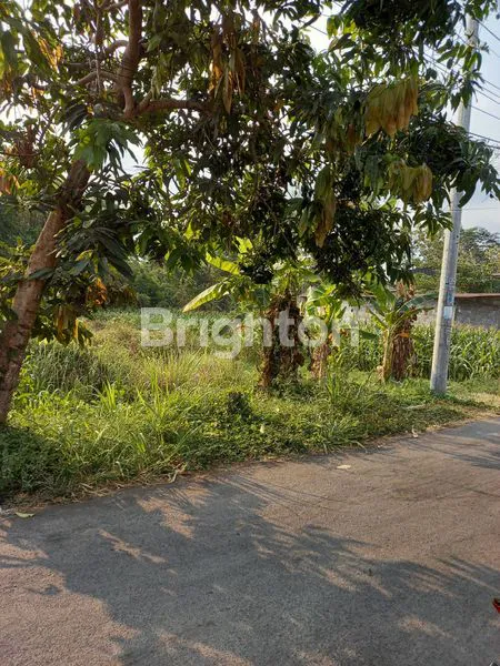 image TANAH PEKARANGAN LUAS 554 M2 , LD 12 DI TIRTOMARTANI, KALASAN, SLEMAN (2)