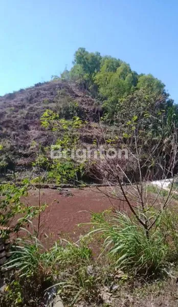 DIJUAL TANAH MURAH LUAS DI DUSUN KEMADANG TANJUNG SARI.