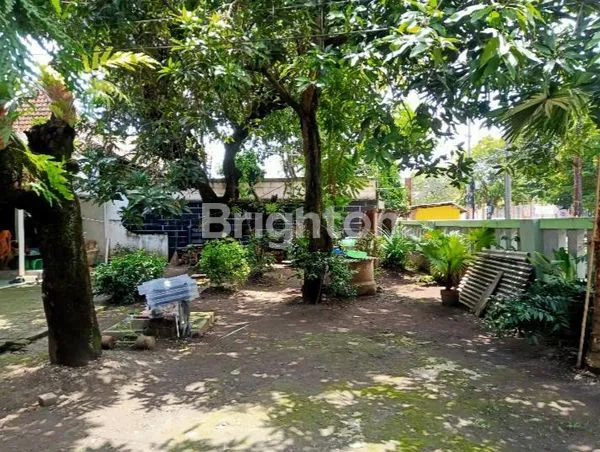 image RUMAH DENGAN HALAMAN YANG LUAS. NEGO (3)