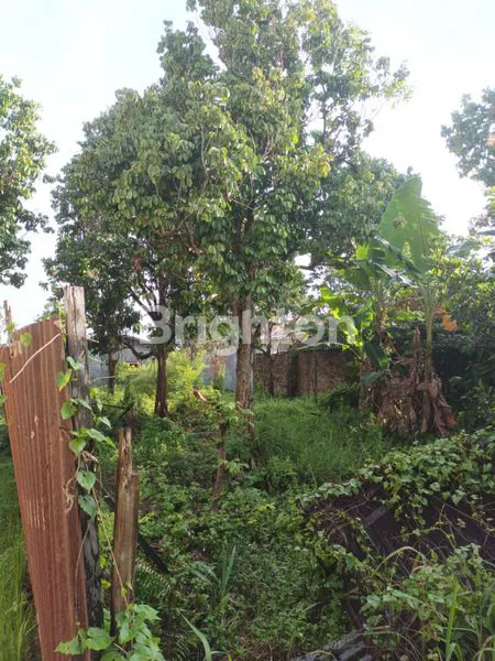 image TANAH KOSONG LAU DENDANG (1)