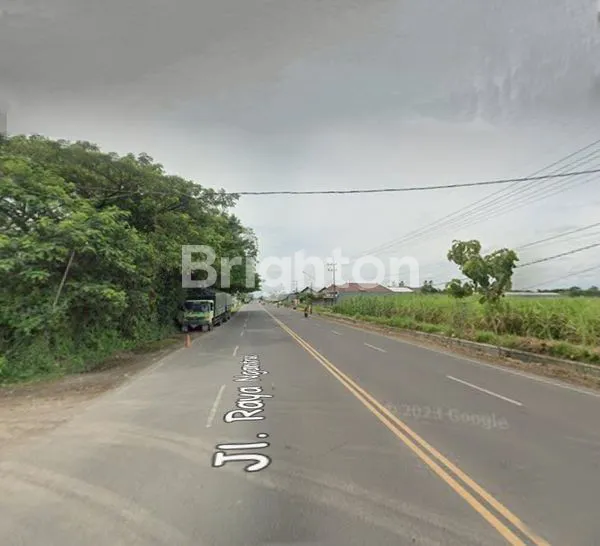 image TANAH LUASAN 3100 M² LEBAR 20 METER DI NGANTRU TULUNGAGUNG (2)