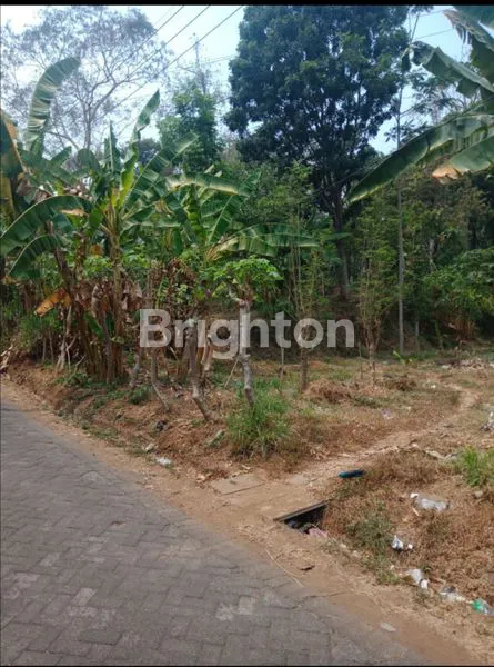 image TANAH DI PANDAAN PASURUAN  (2)