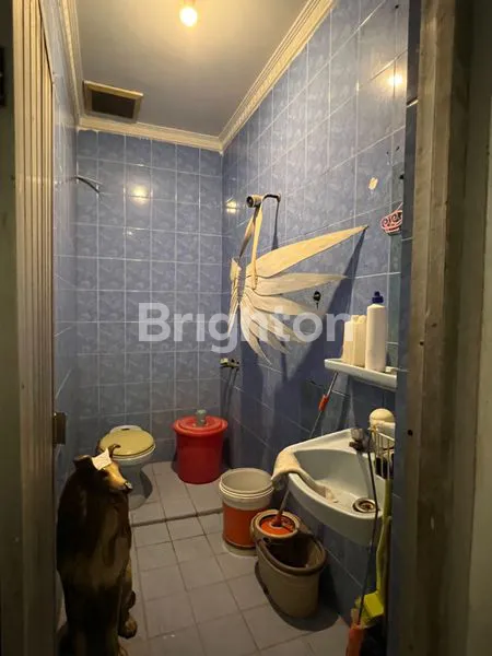 image RUMAH 3 LT DI SUNTER DANAU INDAH JAKARTA UTARA (3)