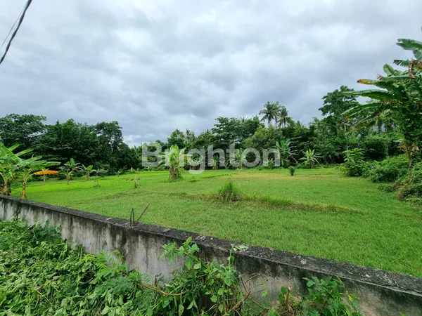 image LAHAN JALAN KAKI KE PANTAI MODING BULELENG (1)