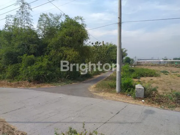 image TANAH NGORO (3)