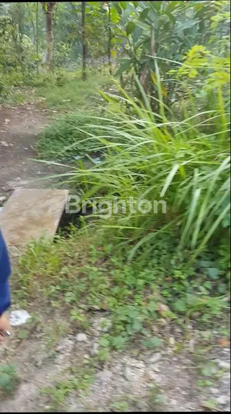 image JUAL TANAH PANDAK BADUNG, TABANAN, AKSES JALANAN ARAH MENUJU TANAH LOT (3)